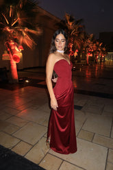 Zaria Burgundy Dress