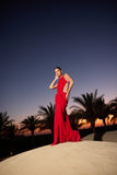 Selena Dress