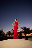 Selena Dress